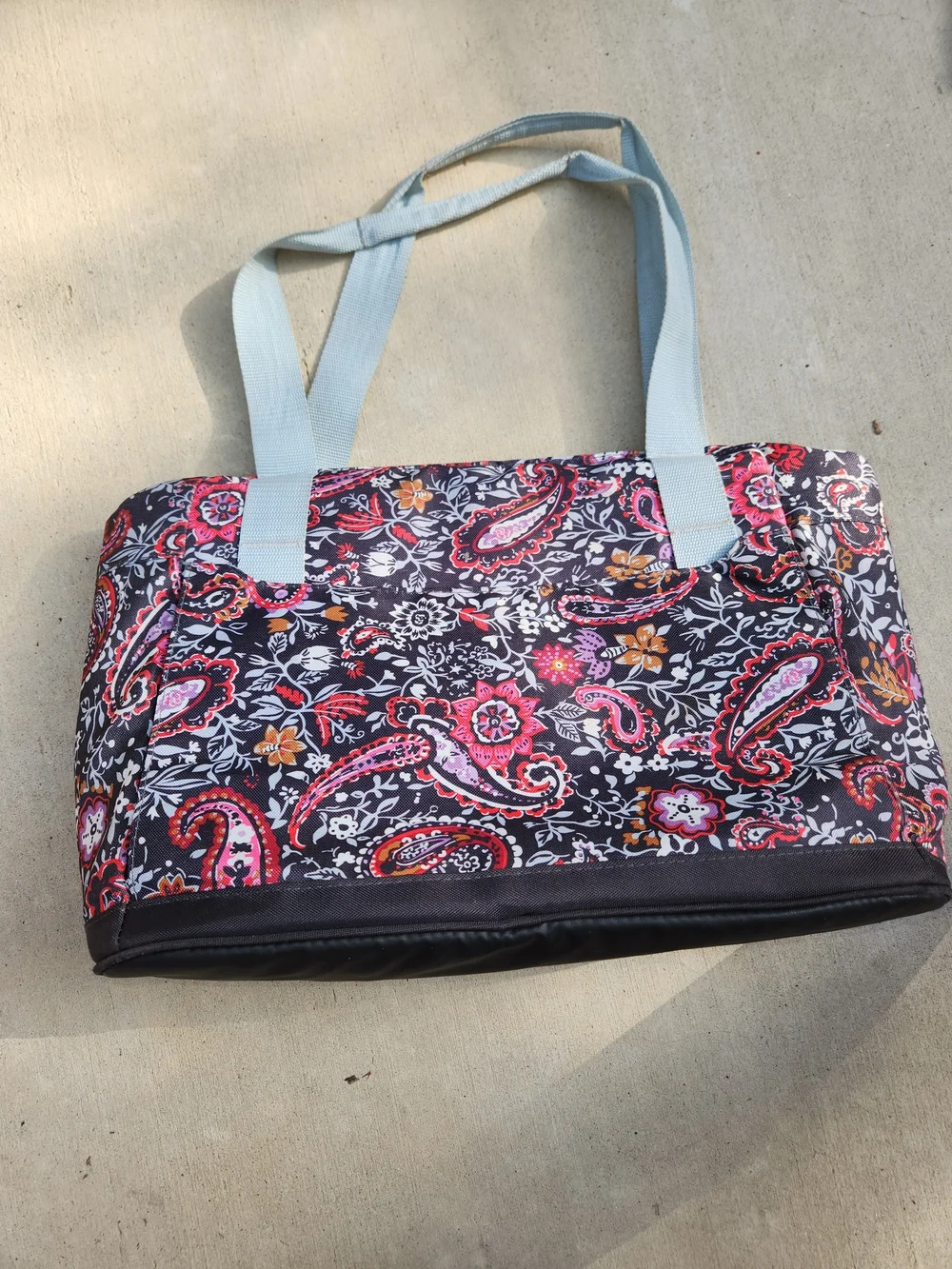 Coleman insulated tote